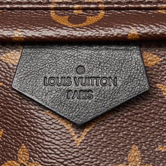 Louis Vuitton Monogram Canvas Palm Springs MM Backpack Bag - Picture 8 of 12